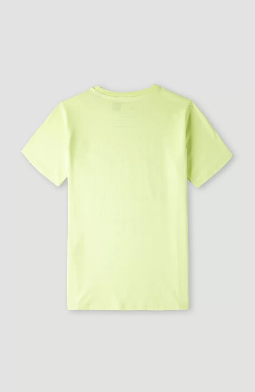 Cheap O’Neill Blend T-shirt | Sunny Lime