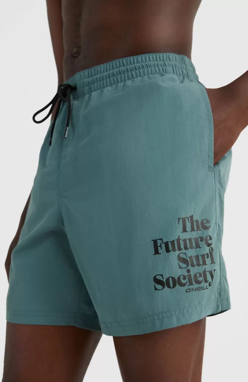 Best O’Neill Cali FSS 16'' Zwemshort | North Atlantic