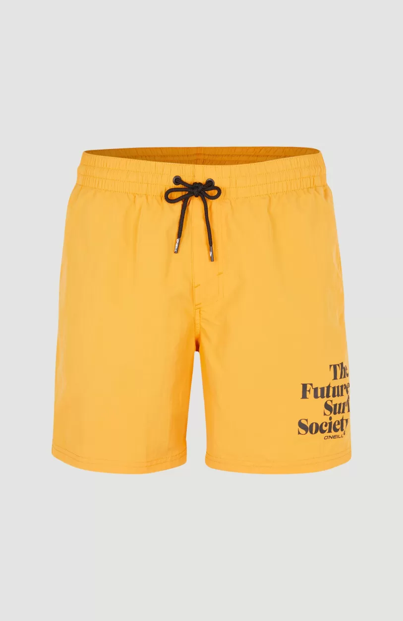 Cheap O’Neill Cali FSS 16'' Zwemshort | Nugget