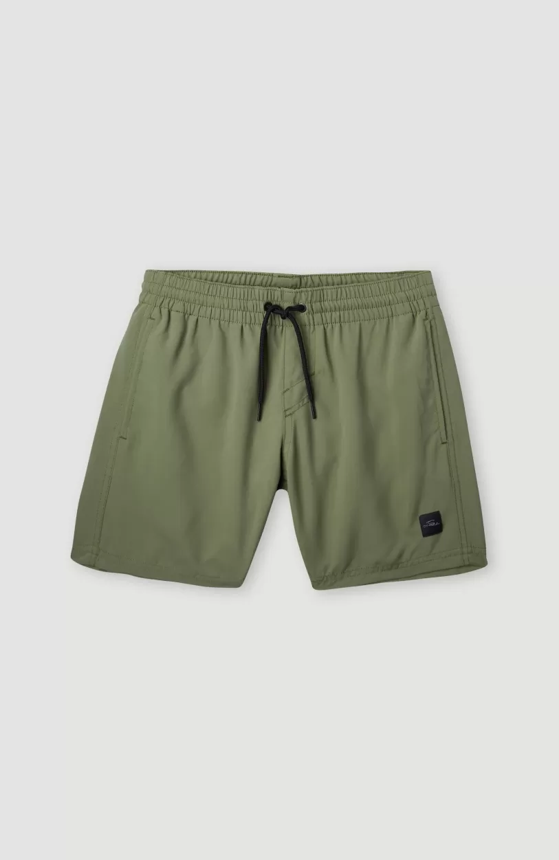 Clearance O’Neill Cali Hybrid 13" Zwemshort | Deep Lichen Green