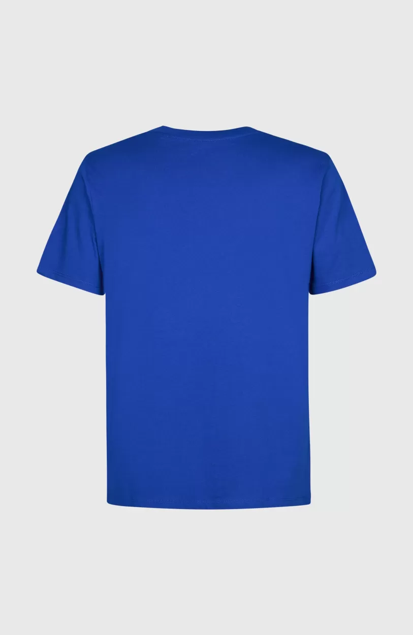 Sale O’Neill Cali Original T-shirt | Surf the web Blue