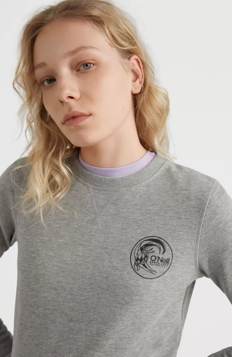 Store O’Neill Circle Surfer Crew Sweatshirt | Silver Melee