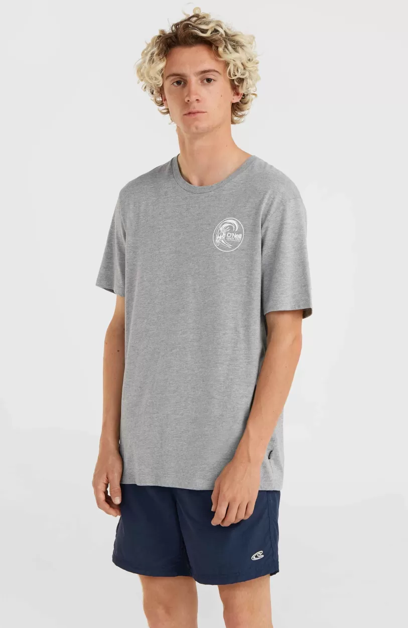 Flash Sale O’Neill Circle Surfer T-Shirt | Silver Melee -A