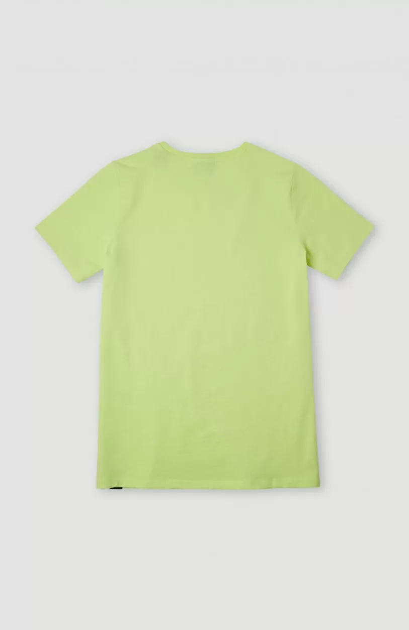 Flash Sale O’Neill Circle Surfer T-Shirt | Sunny Lime