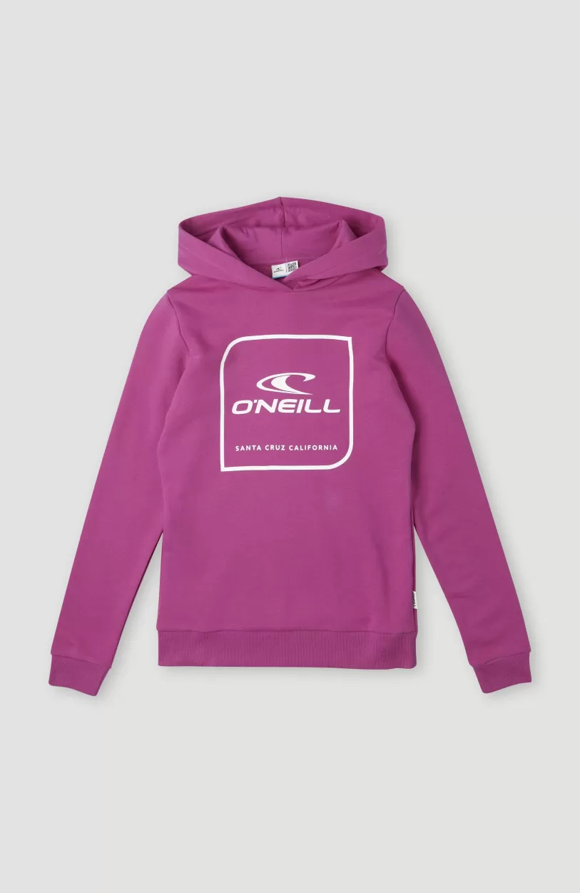 Cheap O’Neill Cube Hoodie | Fuchsia Red