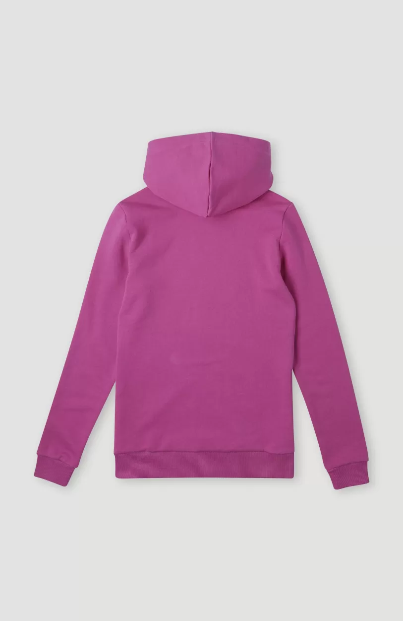 Cheap O’Neill Cube Hoodie | Fuchsia Red