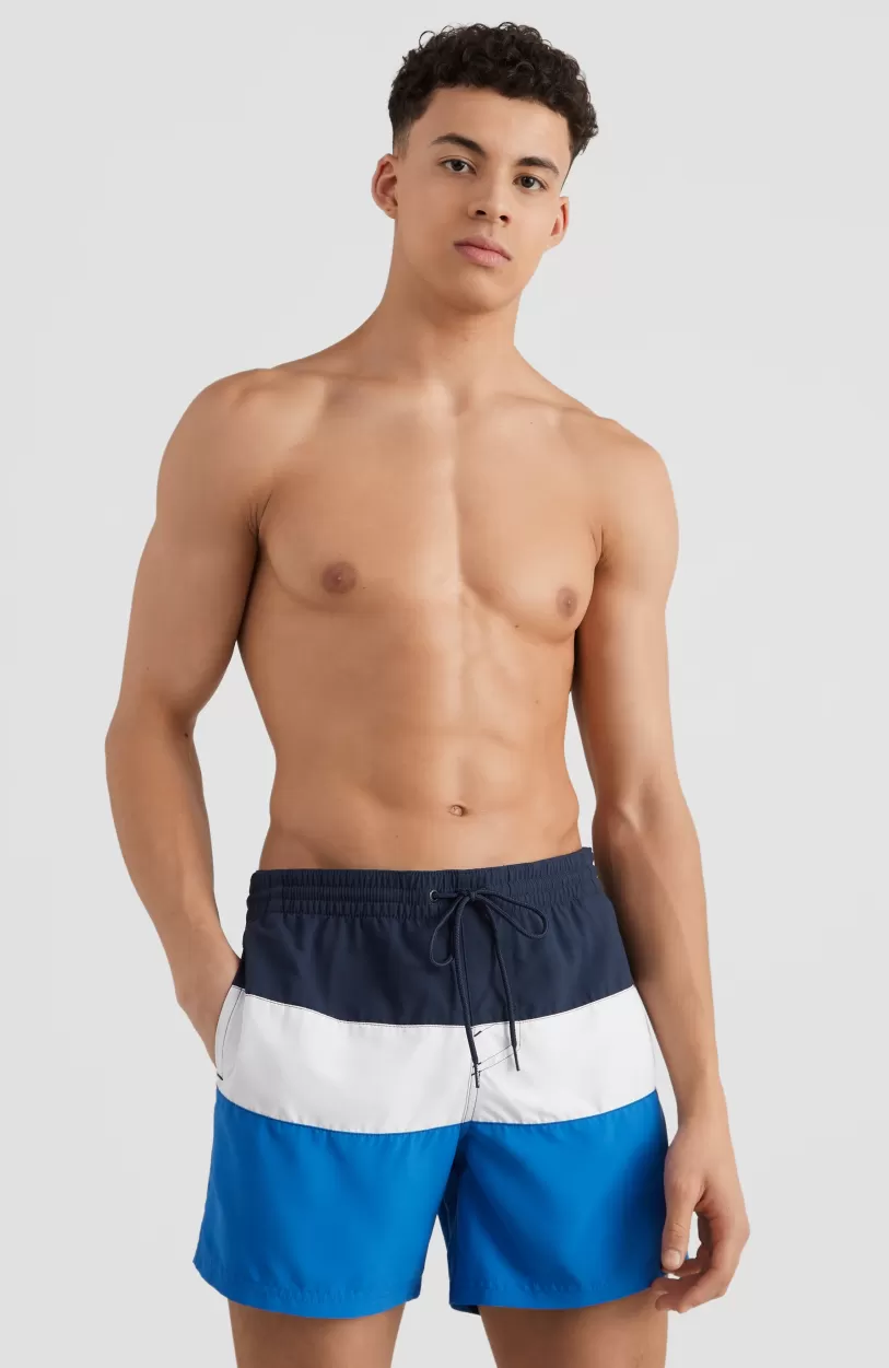 Clearance O’Neill Frame Block Swim Short | Blue Multi 9