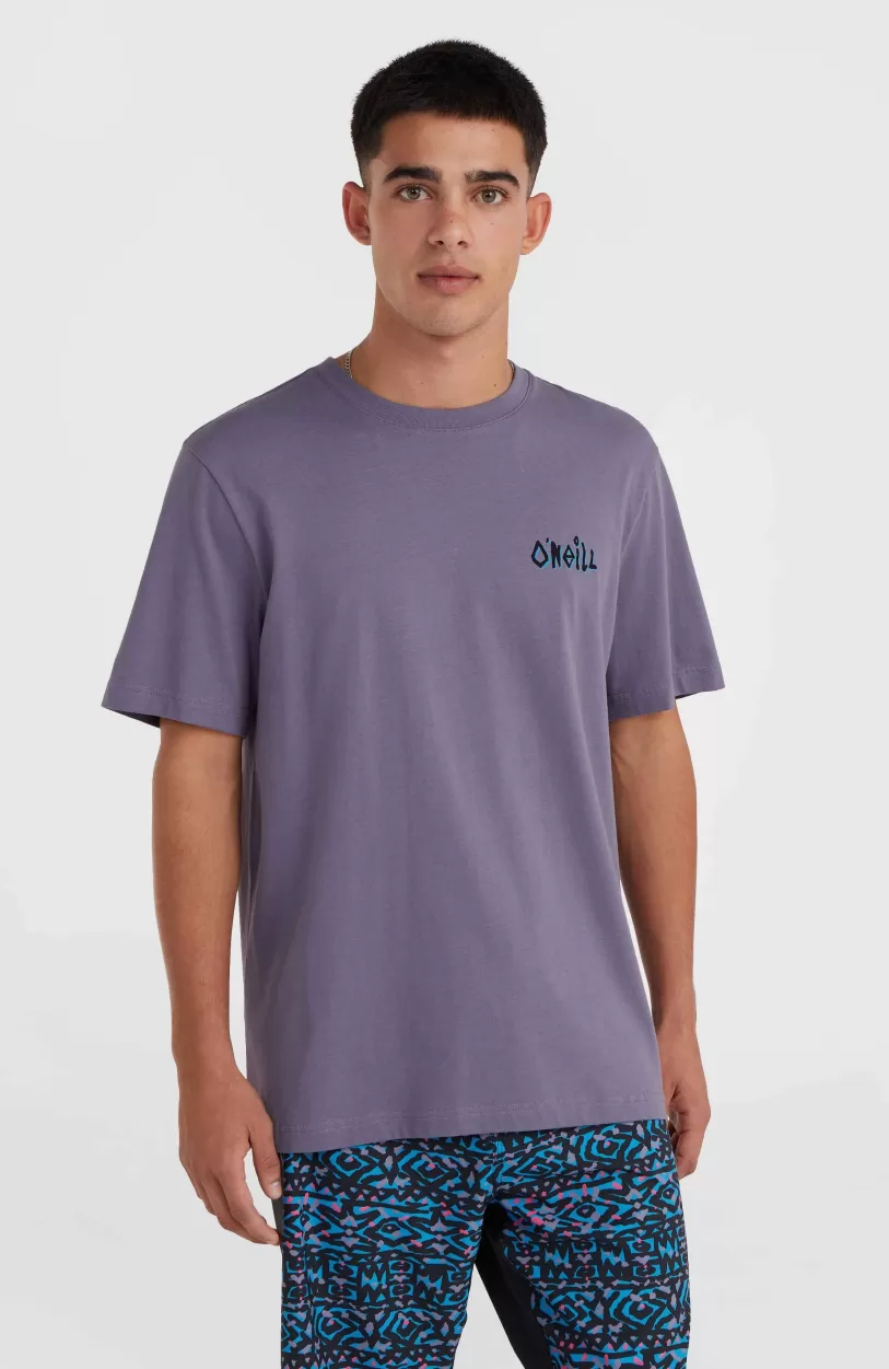 Cheap O’Neill Framed T-shirt | Storm