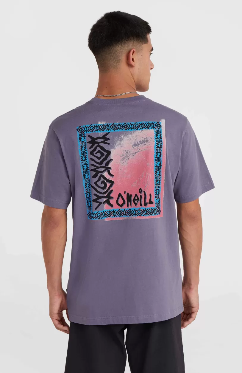 Cheap O’Neill Framed T-shirt | Storm