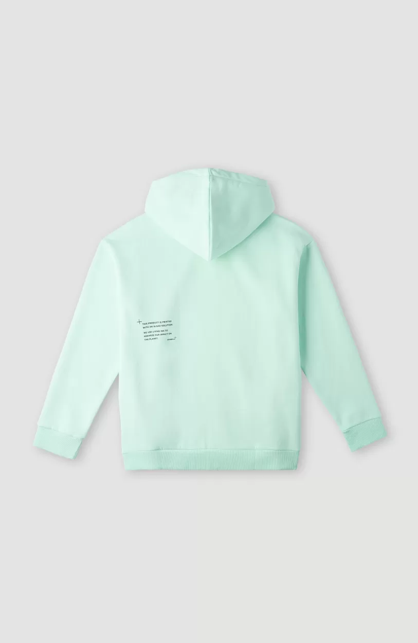 Store O’Neill Future Surf Hoodie | Beach Glass