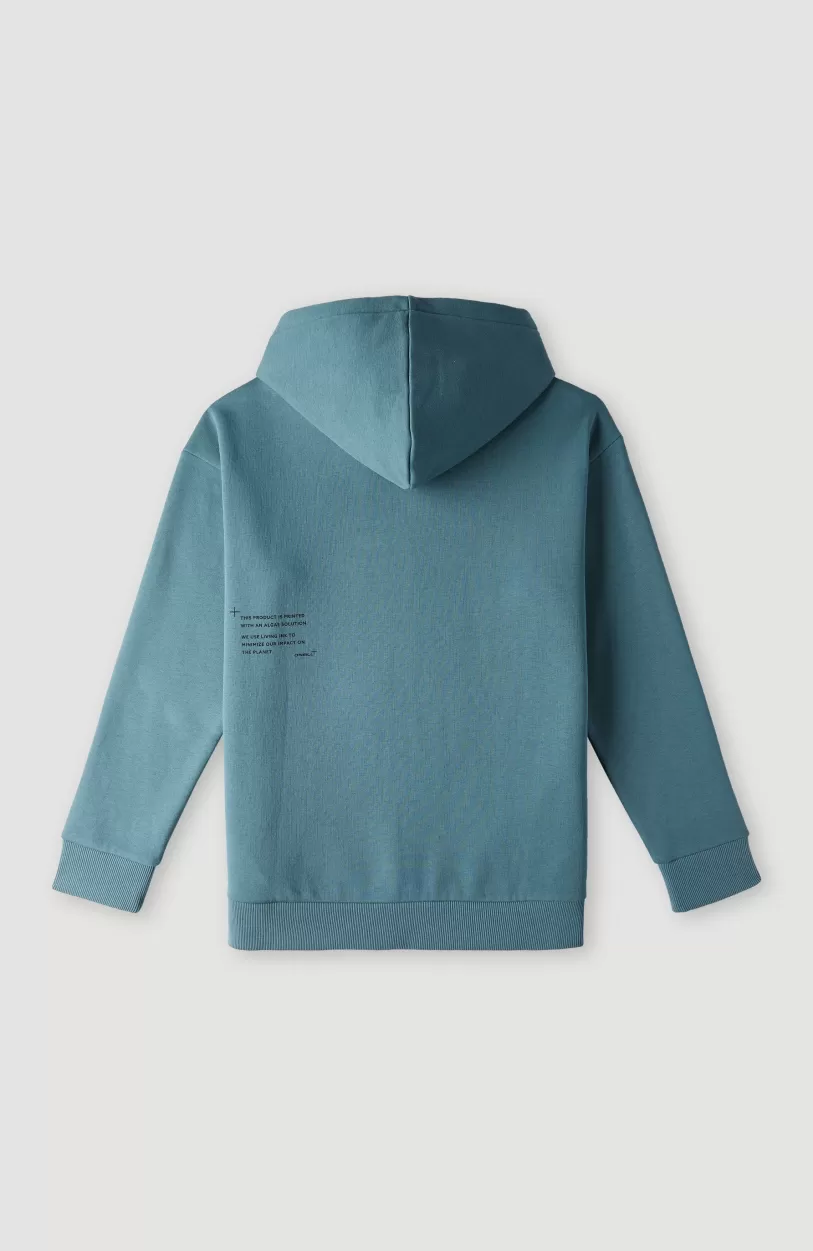 Store O’Neill Future Surf Hoodie | North Atlantic