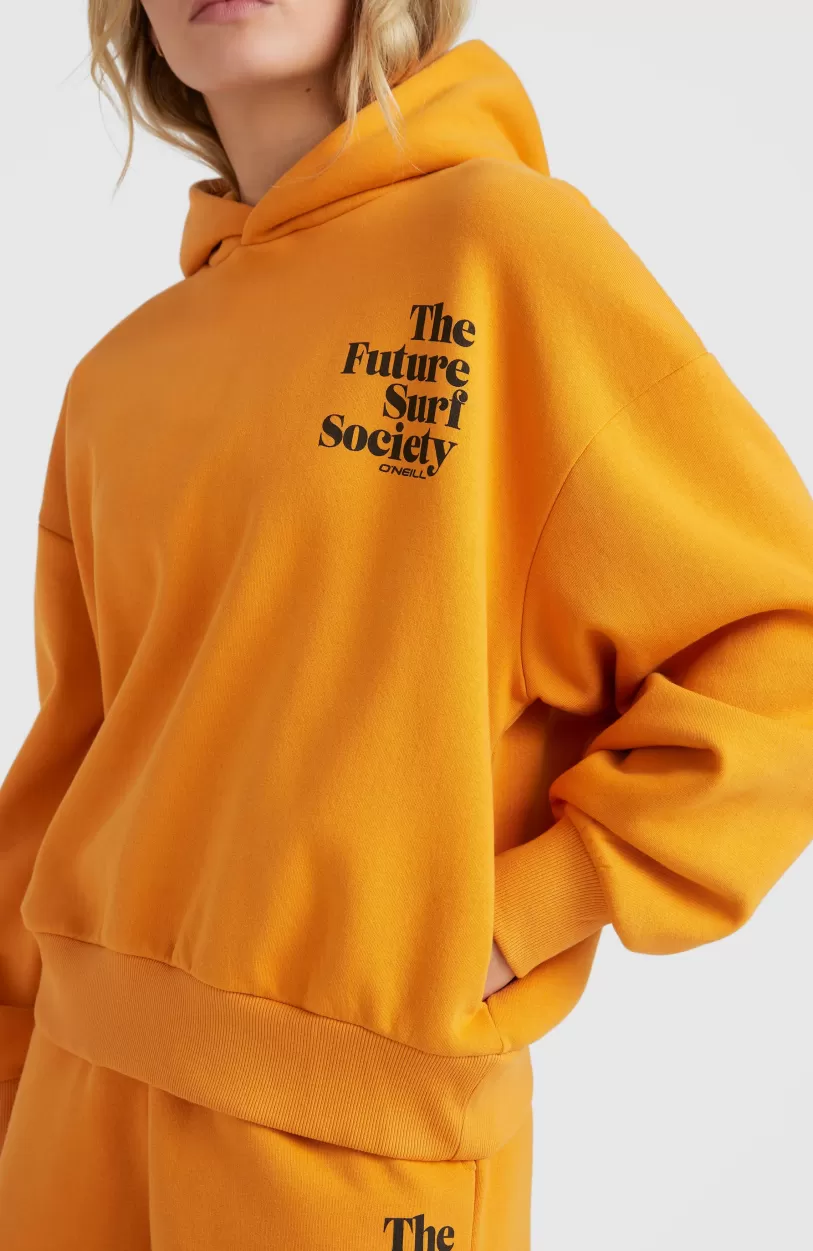 Sale O’Neill Future Surf Hoodie | Nugget