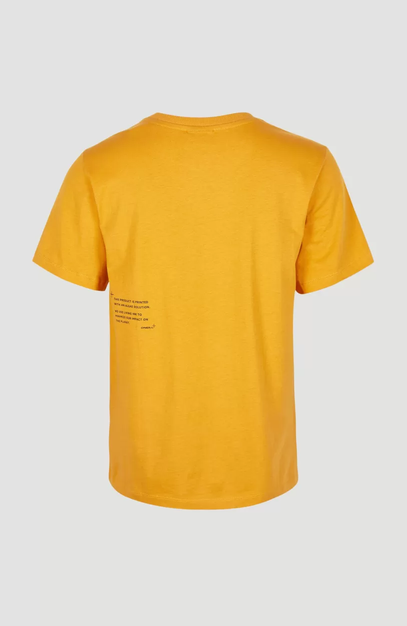 Store O’Neill Future Surf Regular T-shirt | Nugget