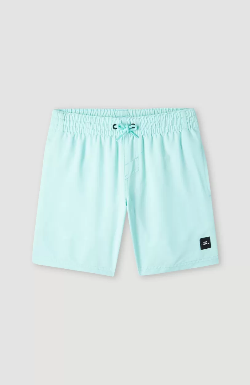 Shop O’Neill Future Surf Society 14'' Zwemshort | Beach Glass