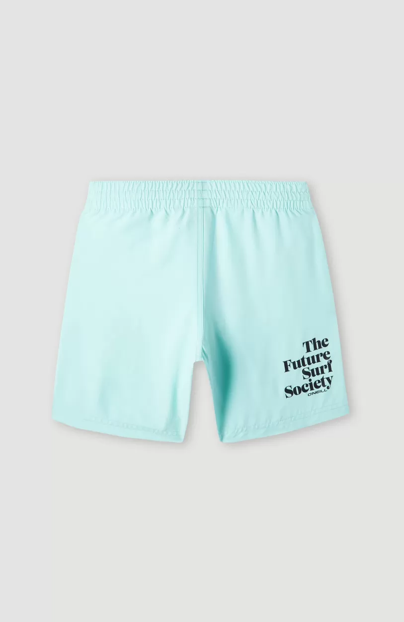 Shop O’Neill Future Surf Society 14'' Zwemshort | Beach Glass