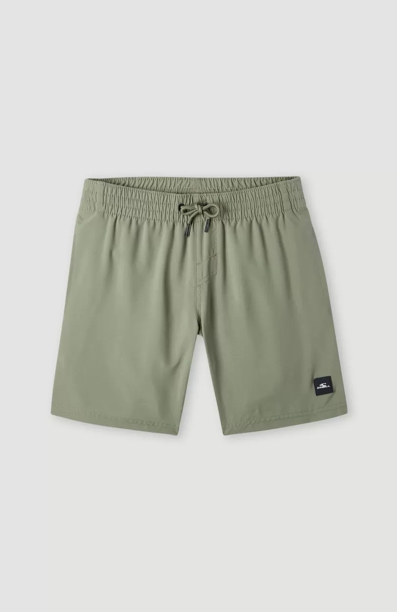 Store O’Neill Future Surf Society 14'' Zwemshort | Deep Lichen Green