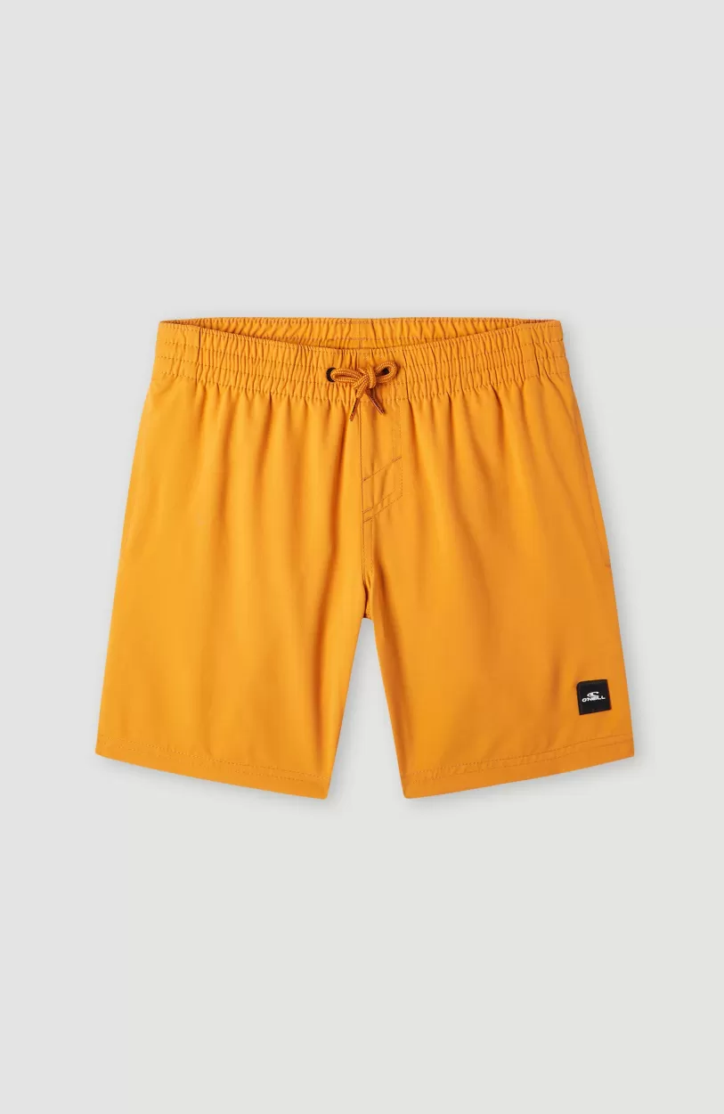 Store O’Neill Future Surf Society 14'' Zwemshort | Nugget