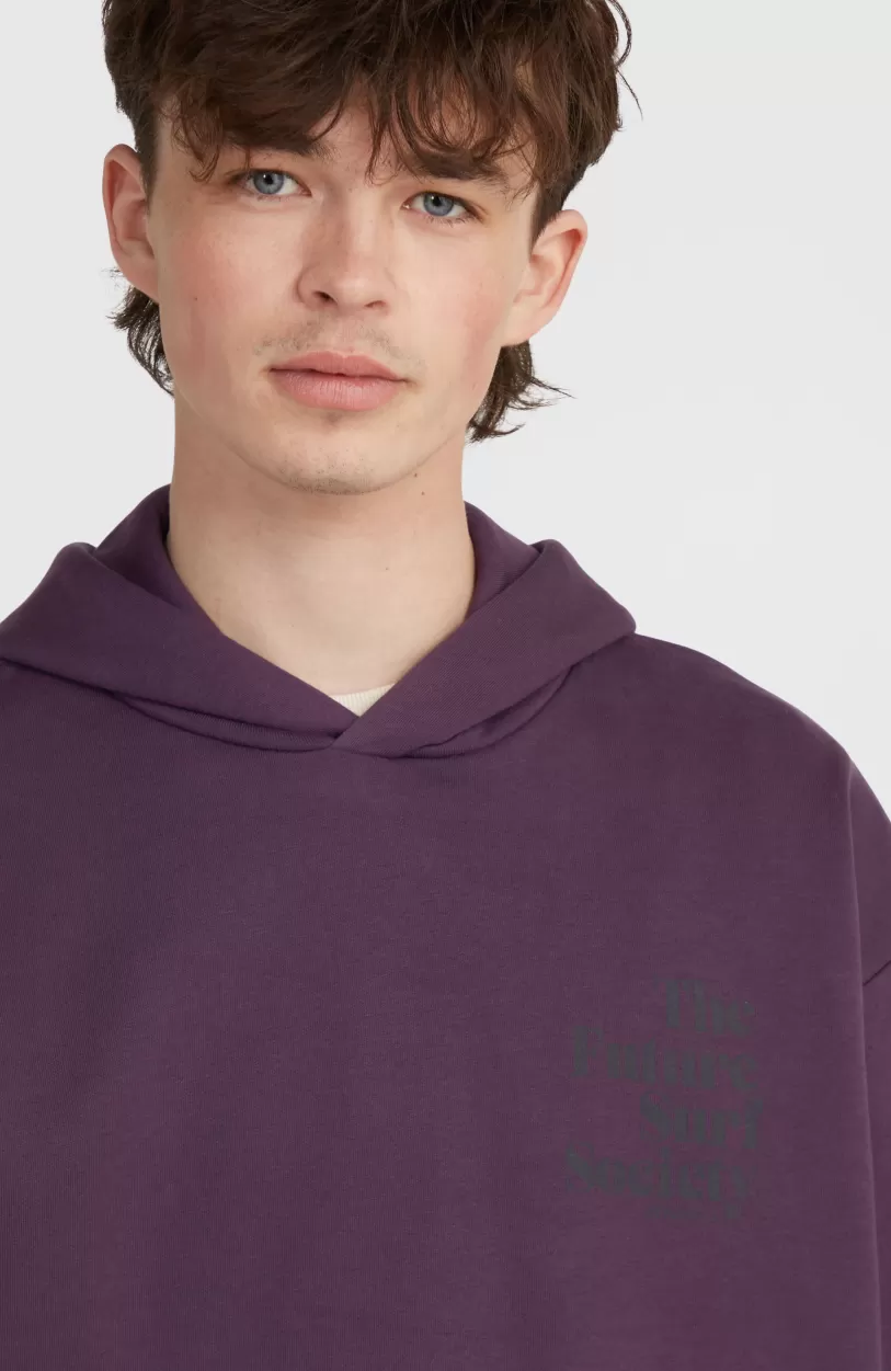 Fashion O’Neill Future Surf Society Hoodie | Aubergine