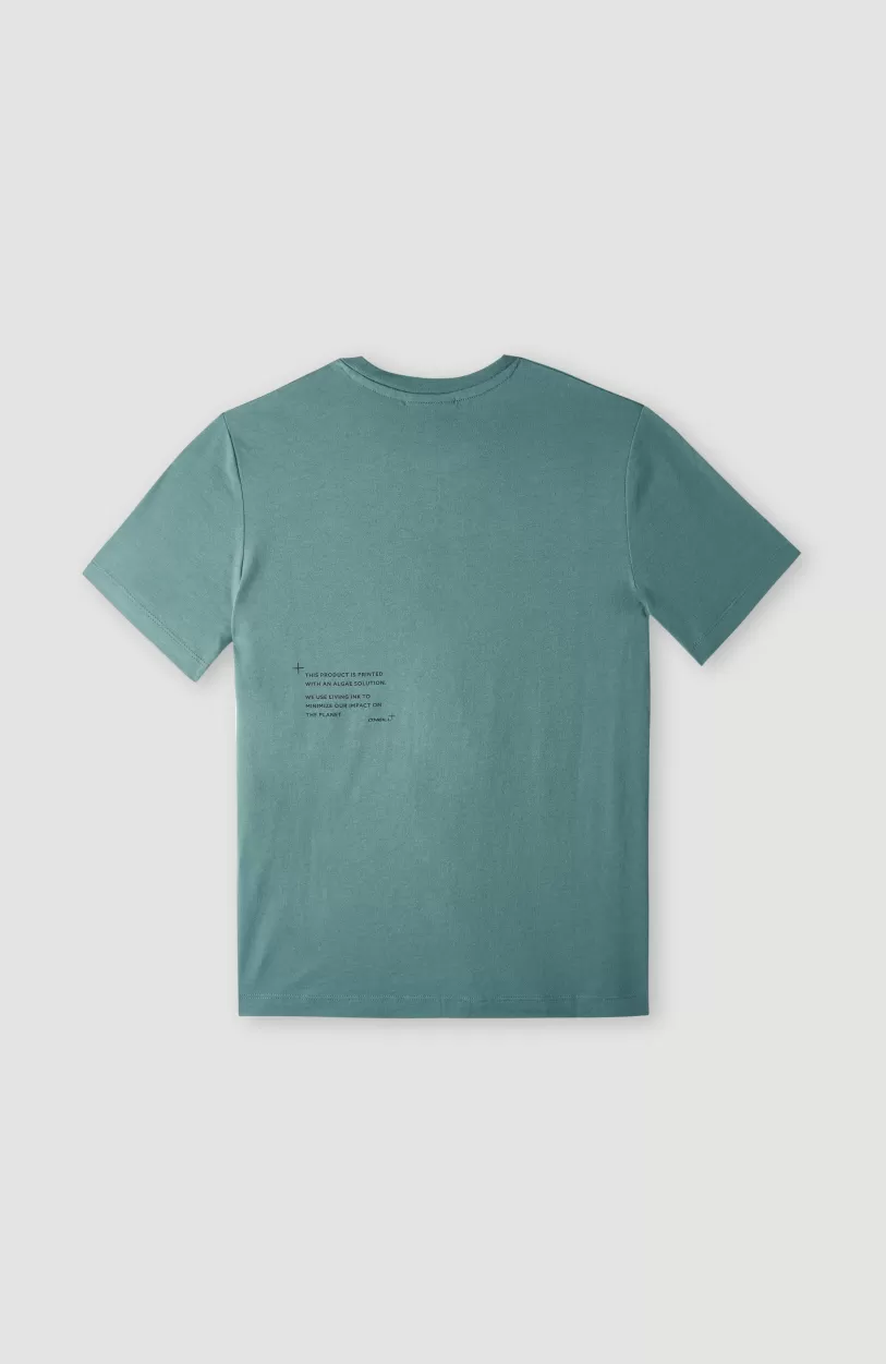 Outlet O’Neill Future Surf Society T-shirt | North Atlantic