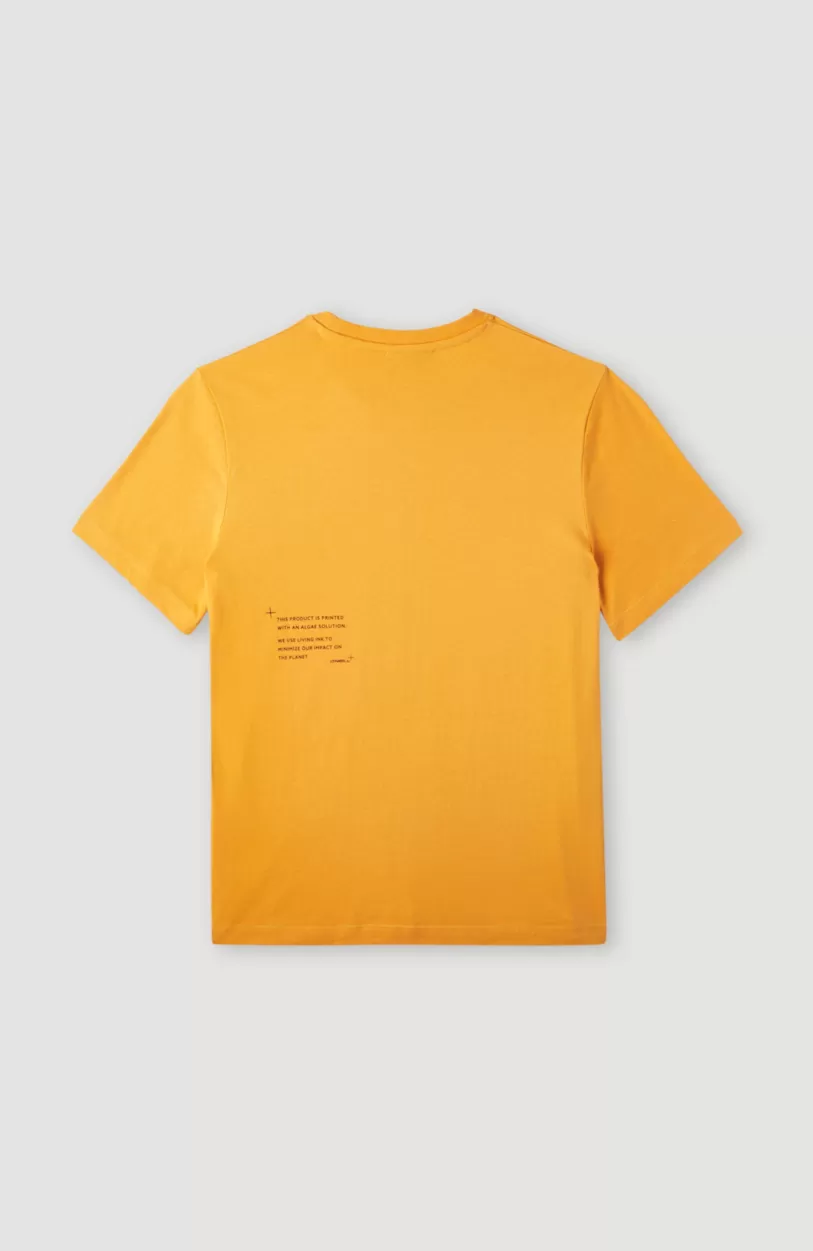 Online O’Neill Future Surf Society T-shirt | Nugget