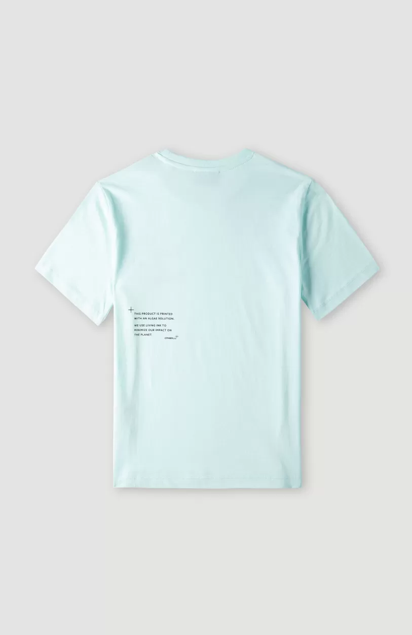 Outlet O’Neill Future Surf Society T-shirt | Soothing Sea