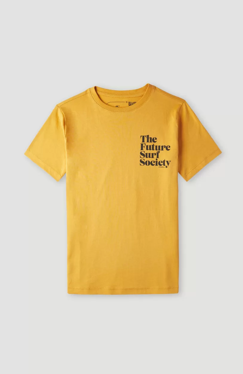 Cheap O’Neill Future Surf T-shirt | Nugget