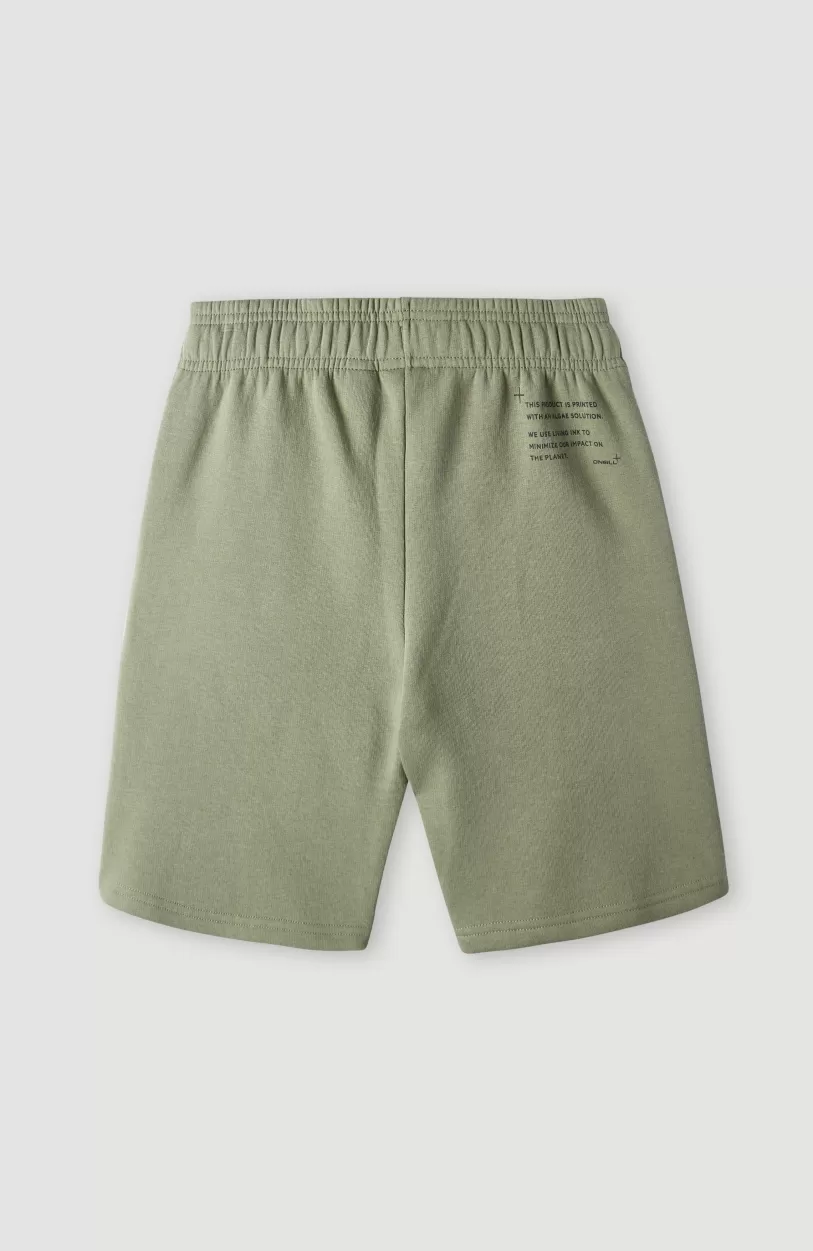 New O’Neill Future Surfshort | Deep Lichen Green