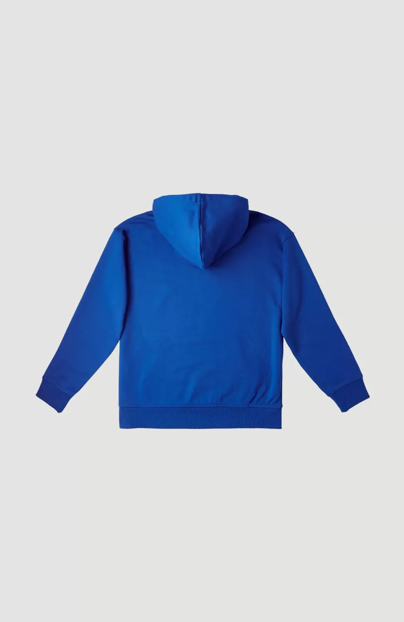 Cheap O’Neill Hoodie Checker | Princess Blue