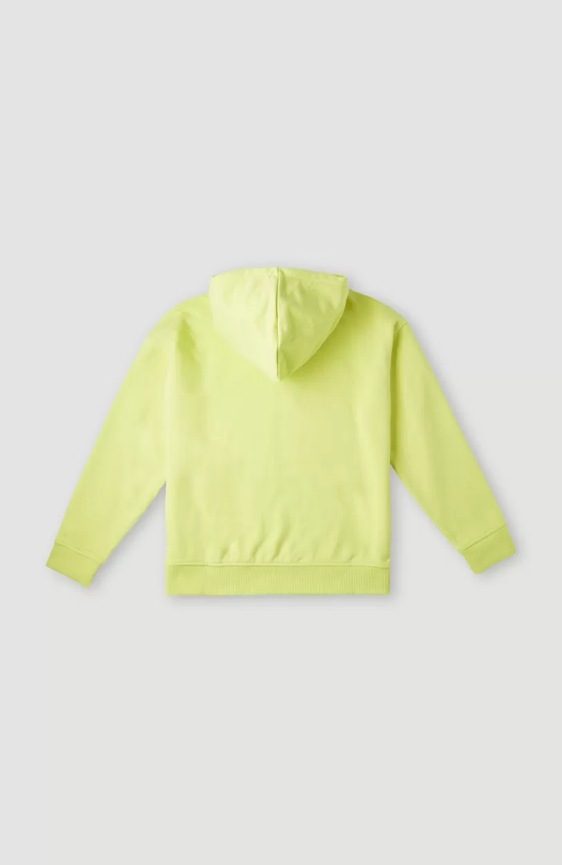 Sale O’Neill Hoodie Checker | Sunny Lime