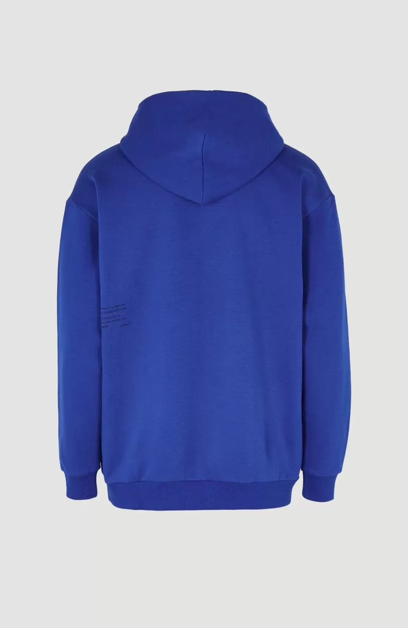 Hot O’Neill Hoodie Future Surf Society | Surf the web Blue