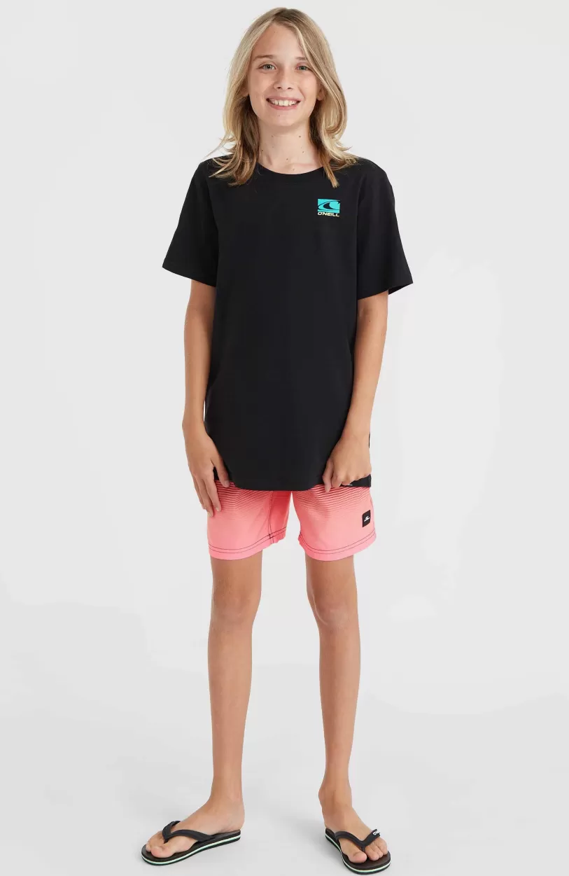 Best O’Neill Jack O'Neill Cali Gradient 14" Zwembroek | Black Simple Gradient Panel
