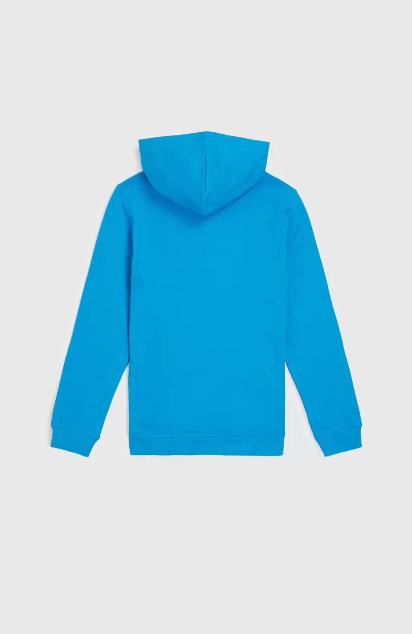 New O’Neill Logo Hoodie | Athena