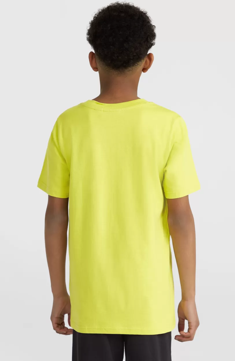 Flash Sale O’Neill Logo T-shirt | Luca Lime