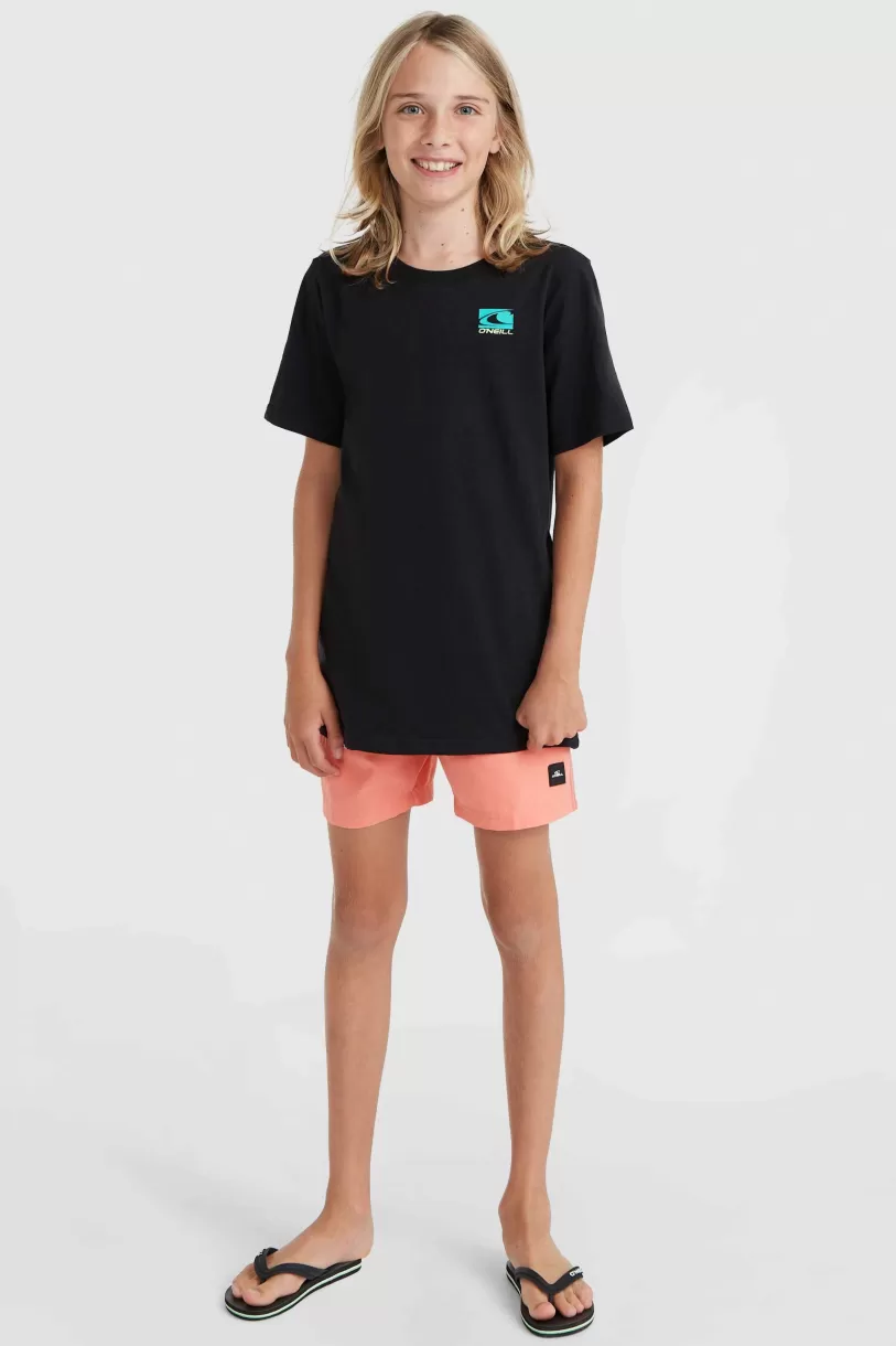 Fashion O’Neill Mix And Match Cali Block 13" Zwembroek | Black/White Tonal Tropicana