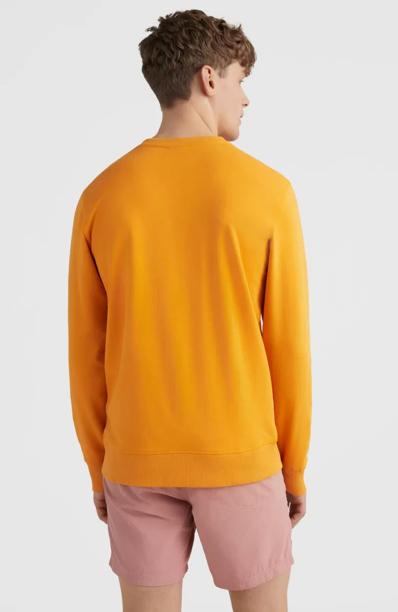 Online O’Neill O'Neill Logo Crew Sweater | Nugget