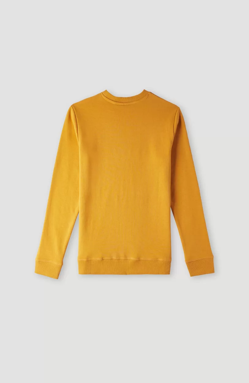 Sale O’Neill O'Neill Logo Crew Sweater | Nugget