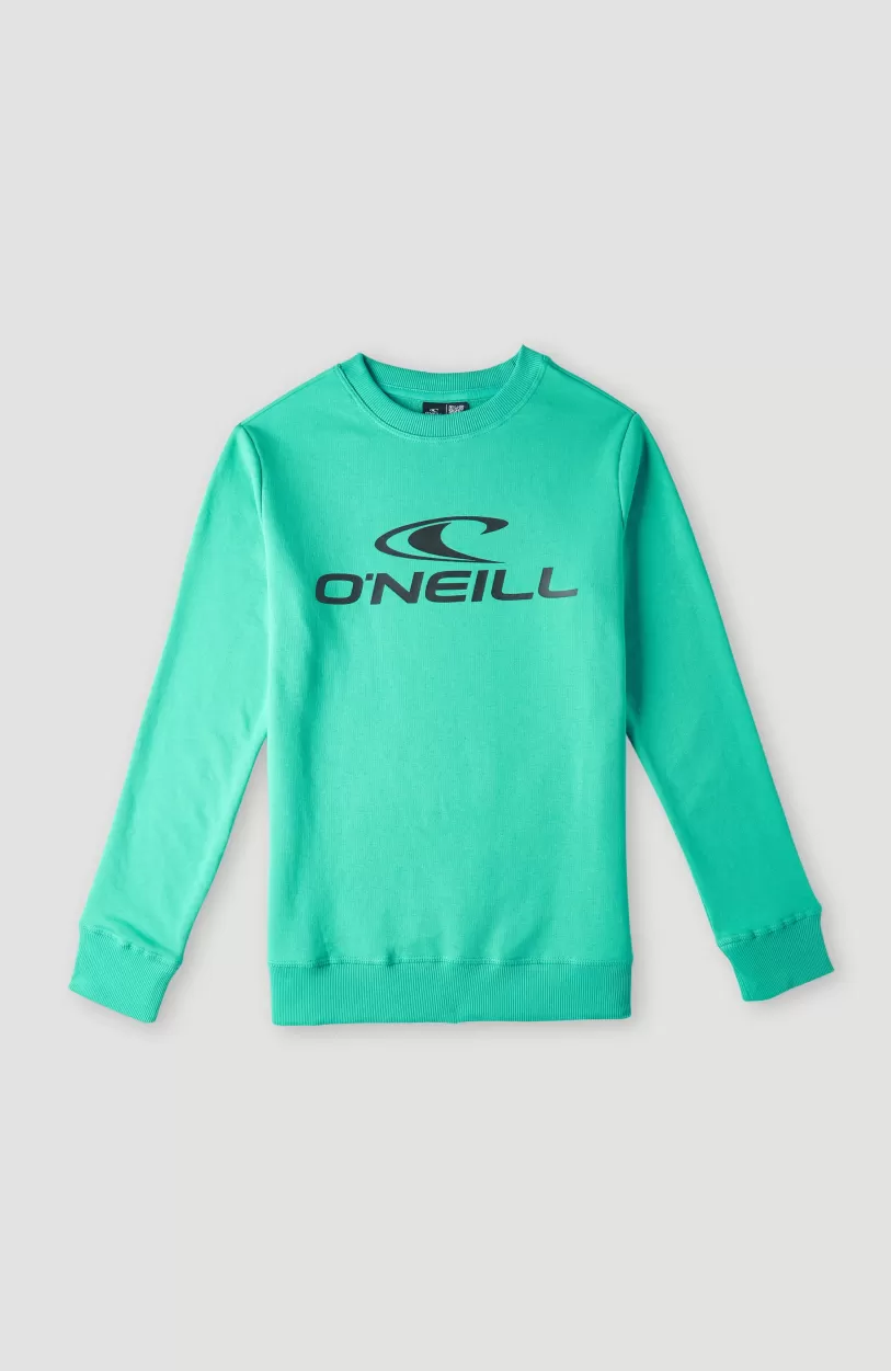 Cheap O’Neill O'Neill Logo Crew Sweater | Sea Green