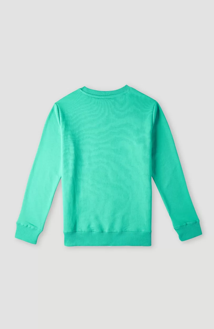 Cheap O’Neill O'Neill Logo Crew Sweater | Sea Green