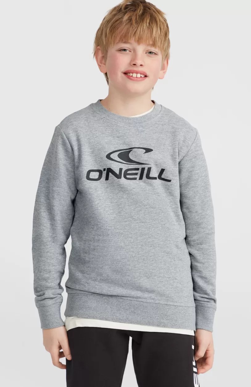 Discount O’Neill O'Neill Logo Crew Sweater | Silver Melee