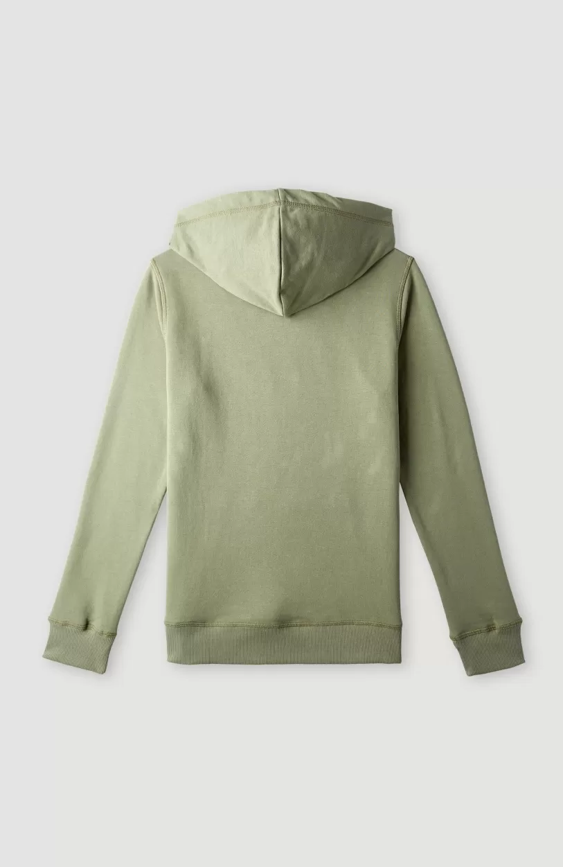 Hot O’Neill O'Neill Logo Hoodie | Deep Lichen Green