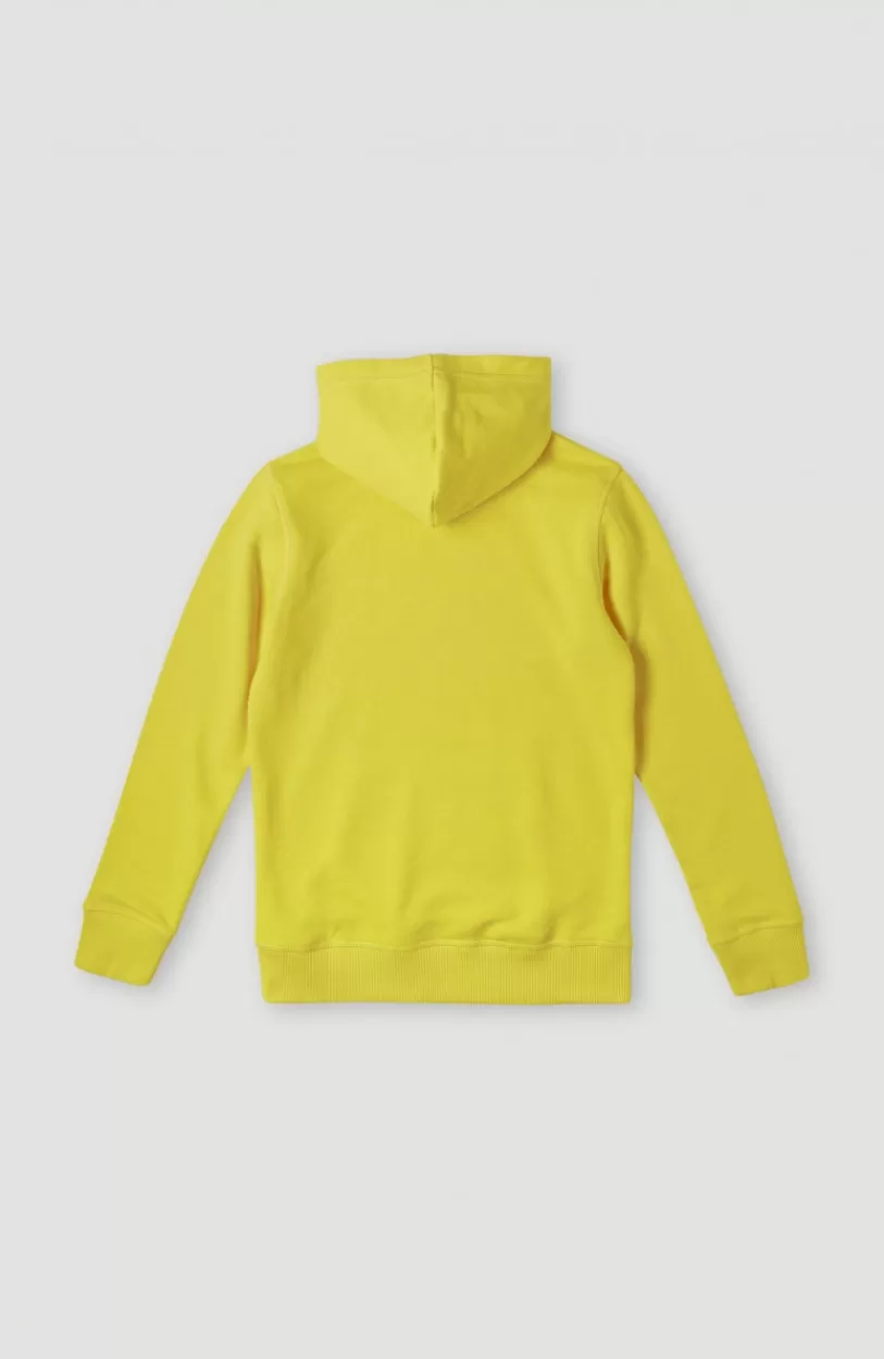 Shop O’Neill O'Neill Logo Hoodie | Empire Yellow