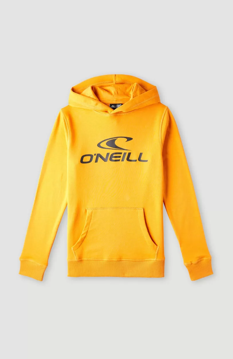 Best O’Neill O'Neill Logo Hoodie | Nugget