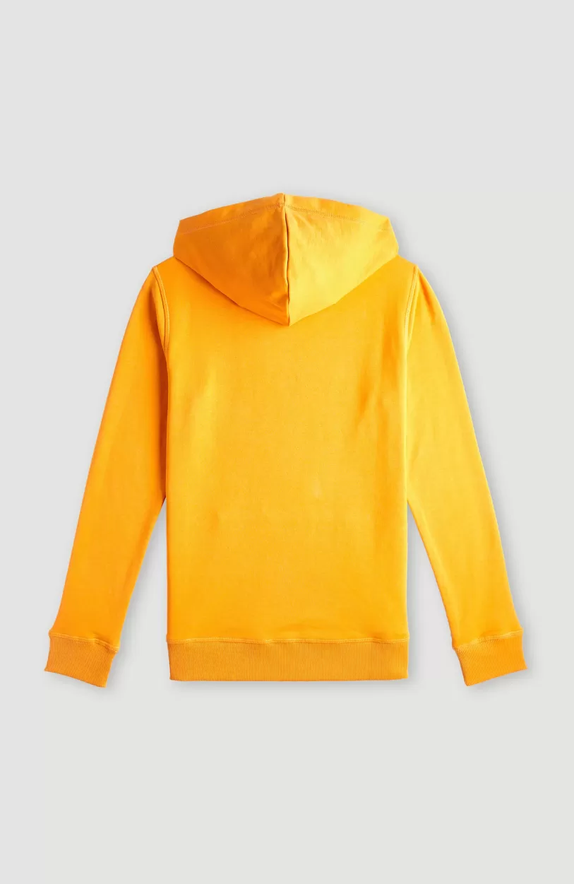 Best O’Neill O'Neill Logo Hoodie | Nugget