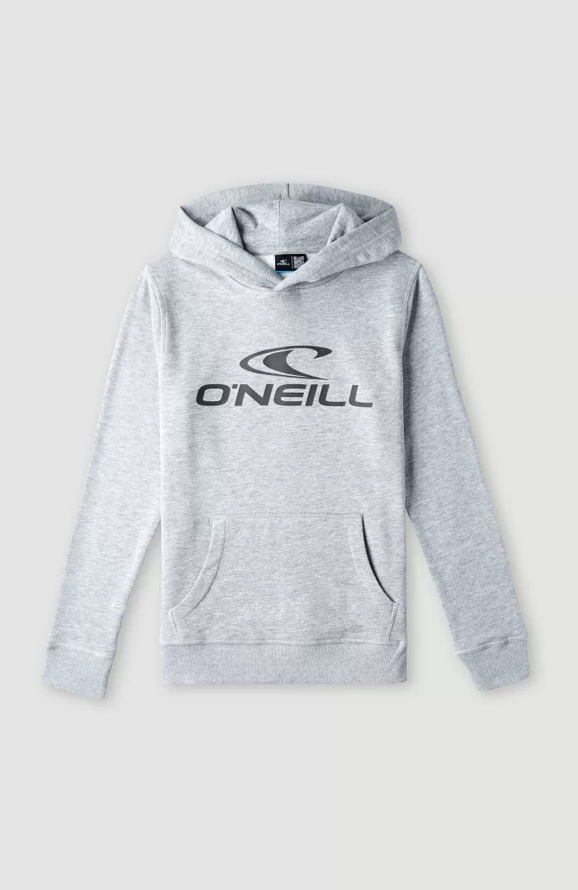 Store O’Neill O'Neill Logo Hoodie | Silver Melee