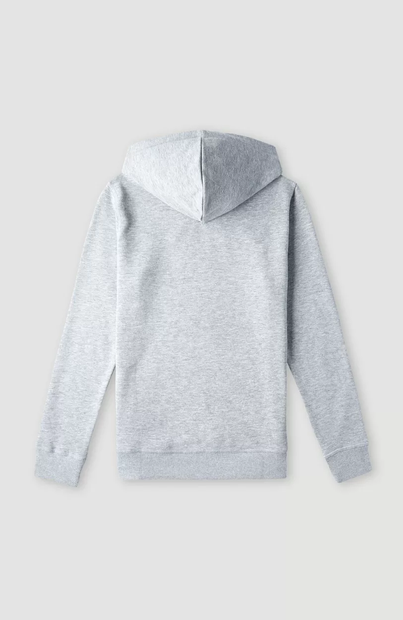 Store O’Neill O'Neill Logo Hoodie | Silver Melee