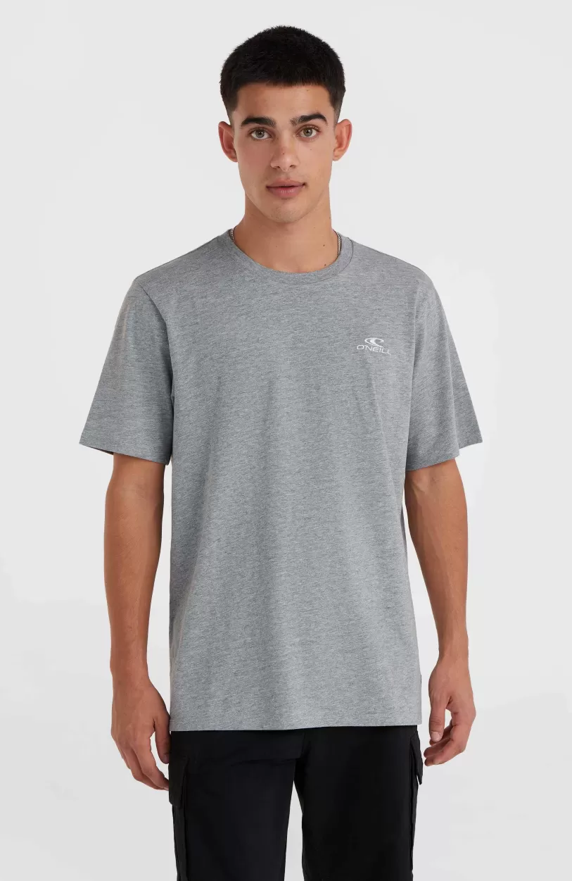 Online O’Neill O'Neill Small Logo T-shirt | Silver Melee