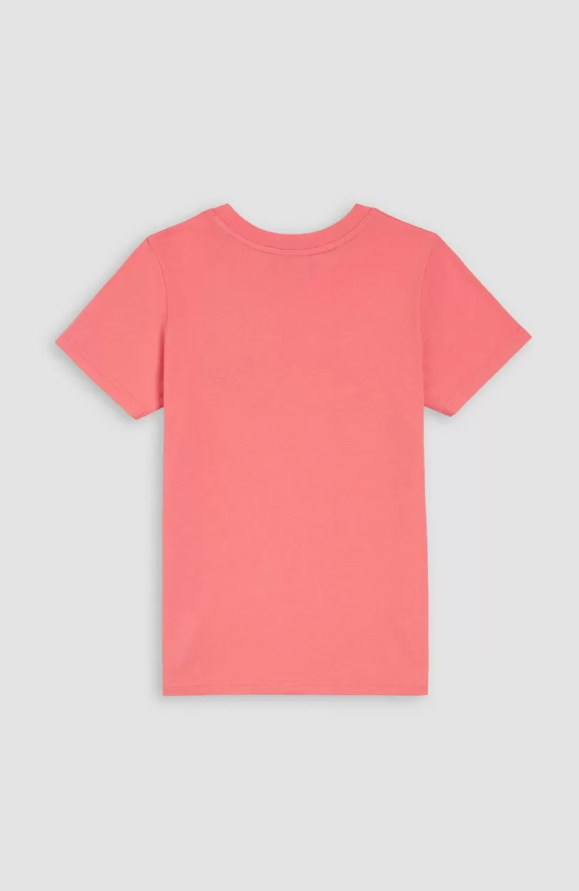 Hot O’Neill Sefa Graphic T-shirt | Perfectly Pink