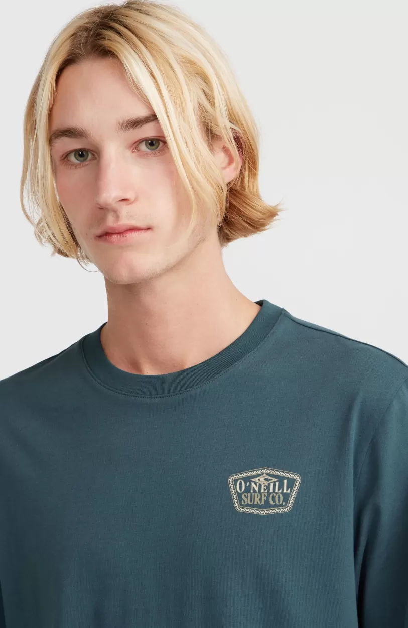 Hot O’Neill Small Chest Print T-shirt | Alma Steel