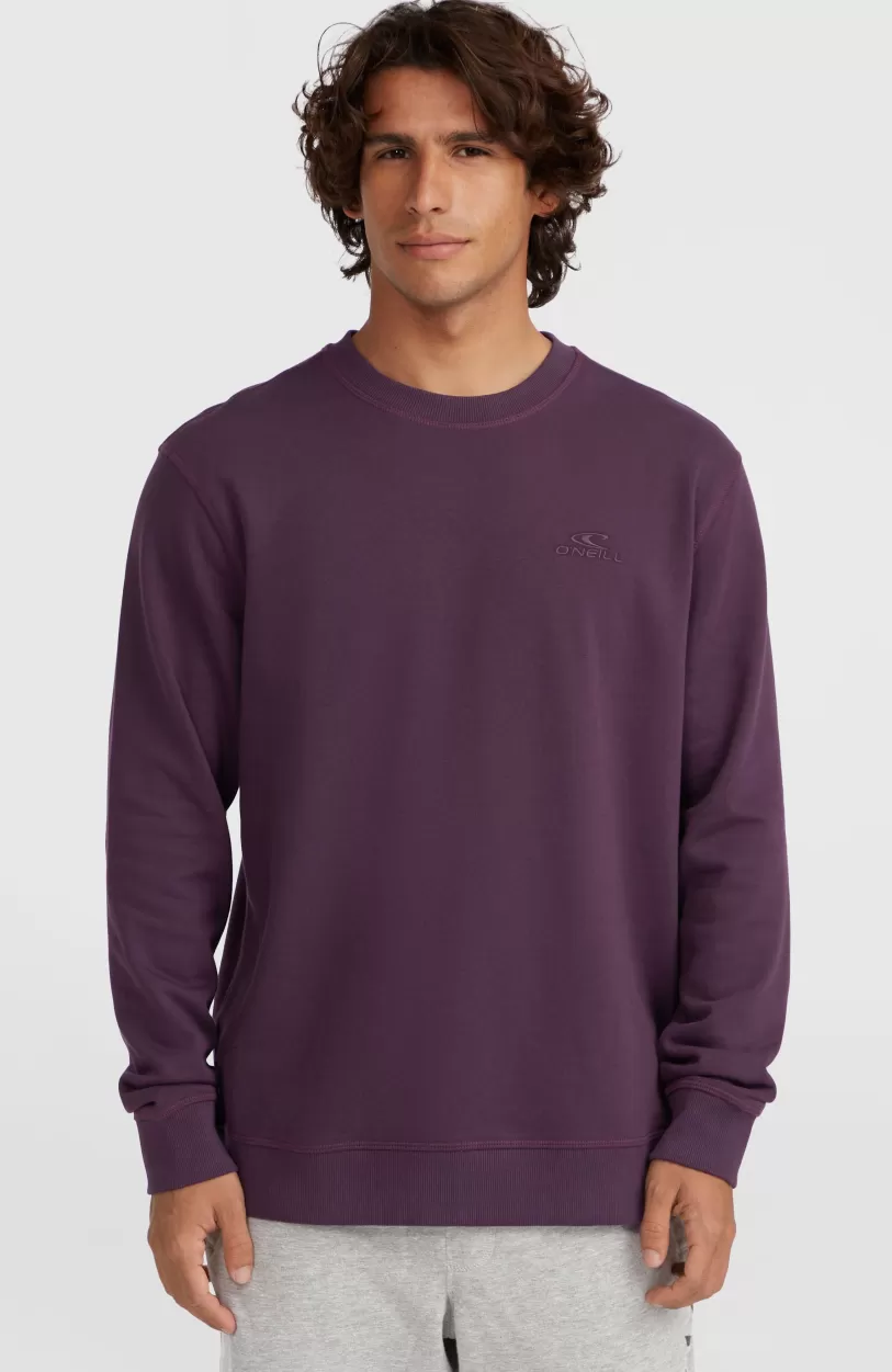 Store O’Neill Small Logo Crew Sweater | Aubergine