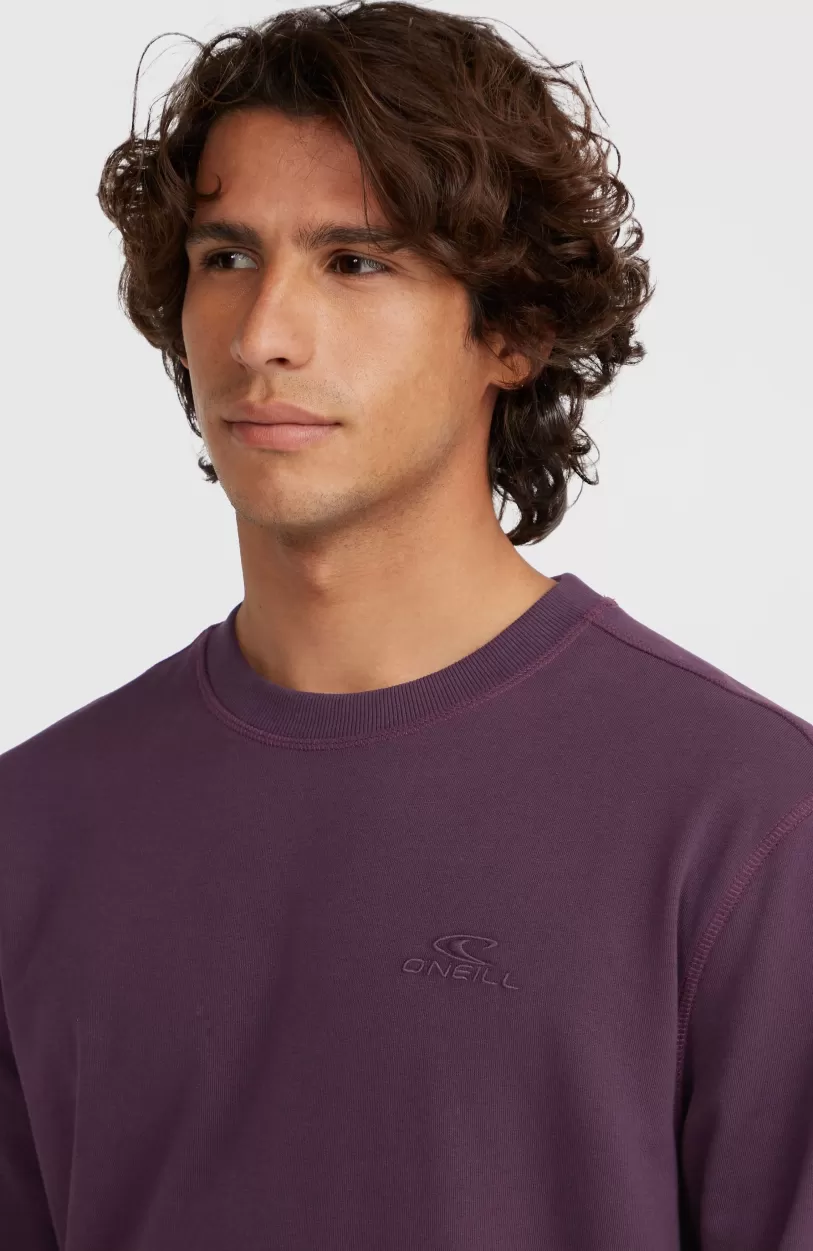 Store O’Neill Small Logo Crew Sweater | Aubergine